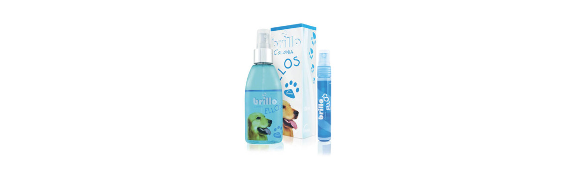 Parfums pour animaux de compagnie