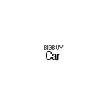 BigBuy Car